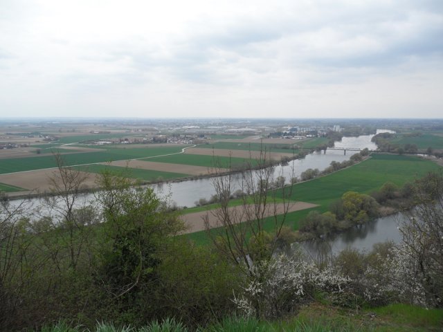 Pilgerweg Bogenberg 2016 23